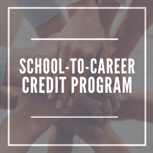 LPH stc programs