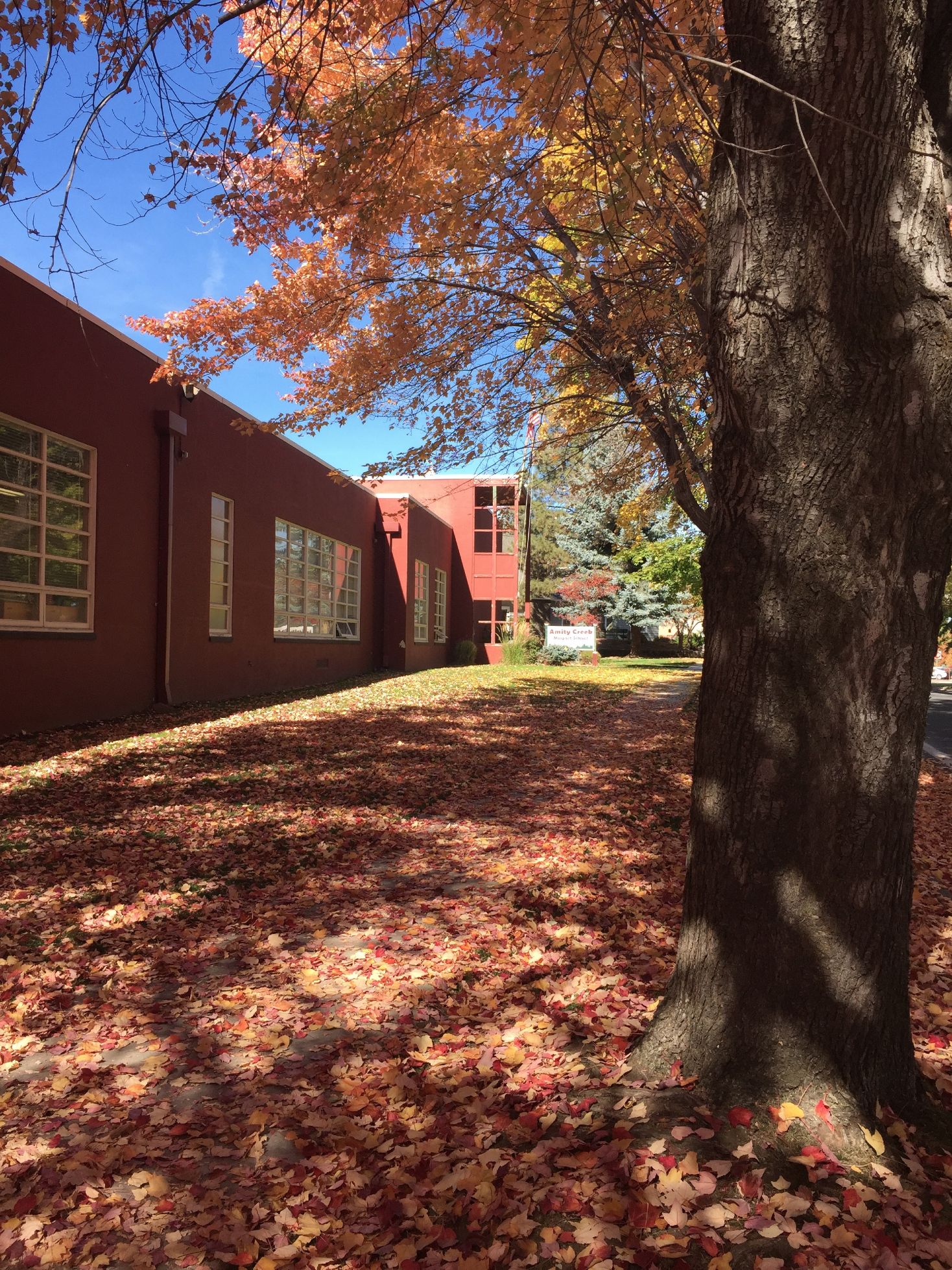 Amity Creek - front of school