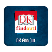 DK findout