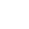 pine cone icon