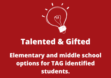 Talented and Gifted.Elementary and middle school options for TAG identified students.