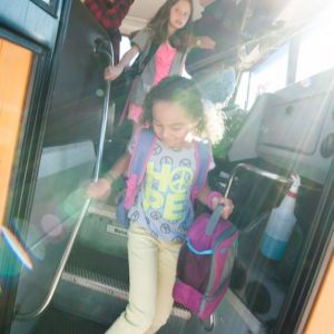 School Busses