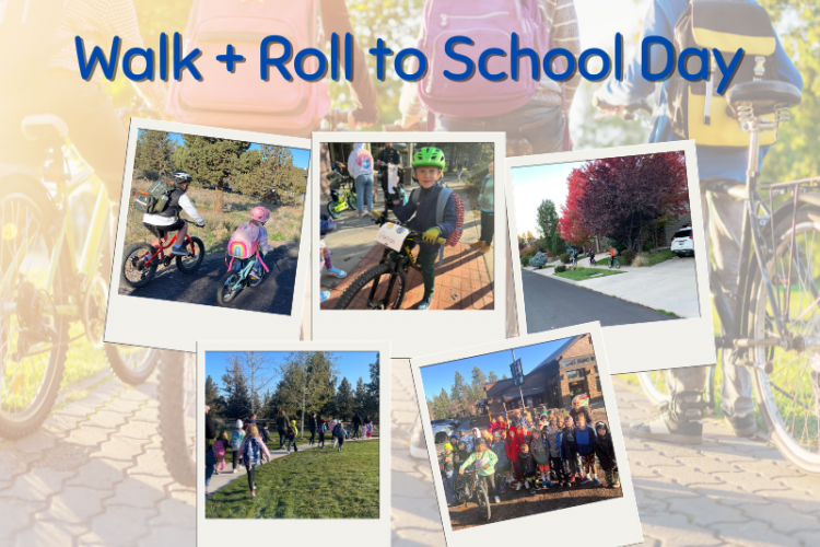 Walk__Roll_fall_2024.png