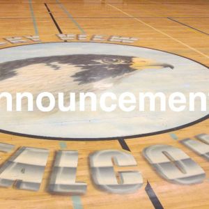 Web_Photo_Gym_Falcon_Announcements.jpg