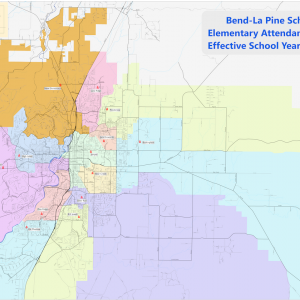Approved_Elementary_Attendance_Areas_2019_press.png