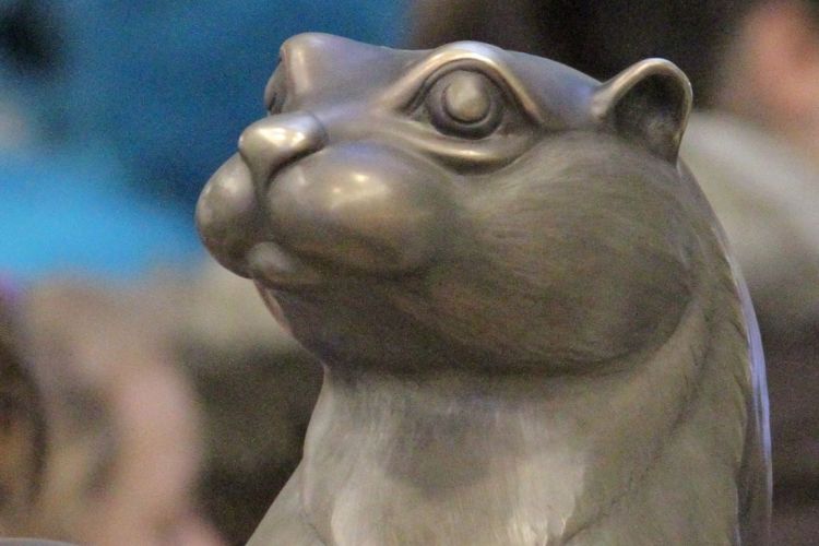 All the News You Otter Know