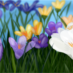 Spring2.png
