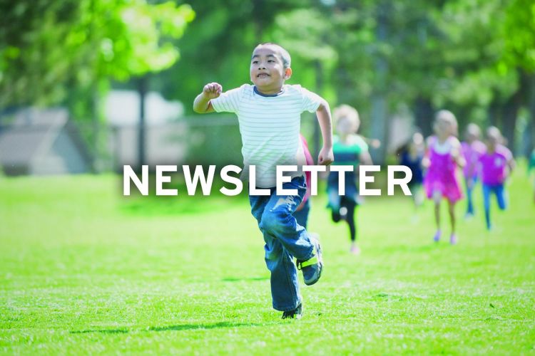 NEWSLETTER_graphic_Elem.jpg