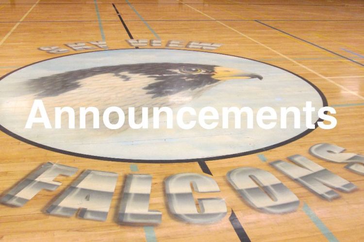 Web_Photo_Gym_Falcon_Announcements.jpg