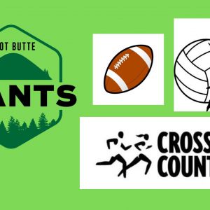 FallSports.jpg