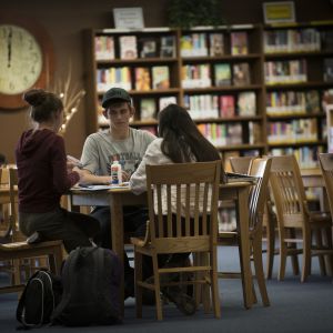 69-LPHS_students_generic_library_2017.jpg