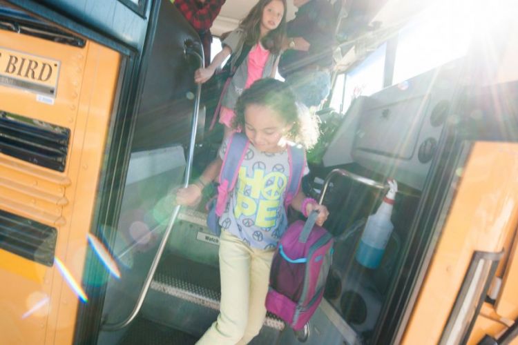 School Busses