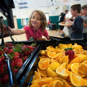 School Meals