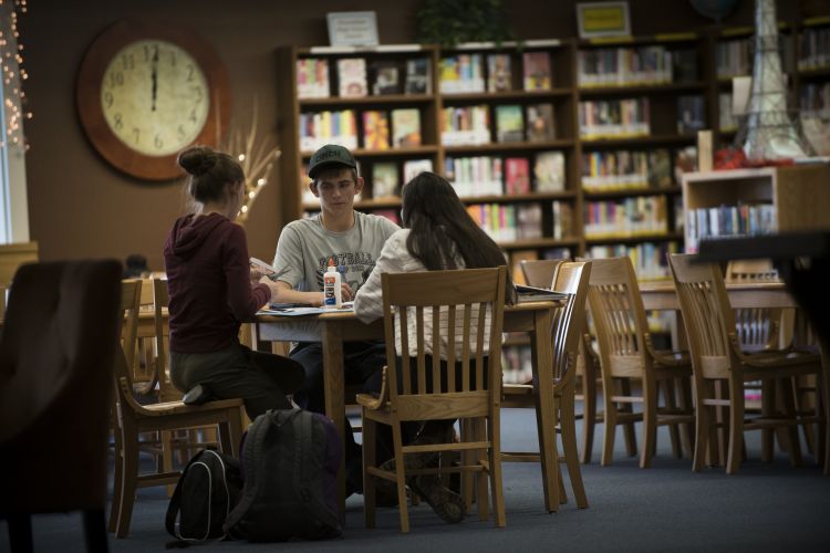 69-LPHS_students_generic_library_2017.jpg