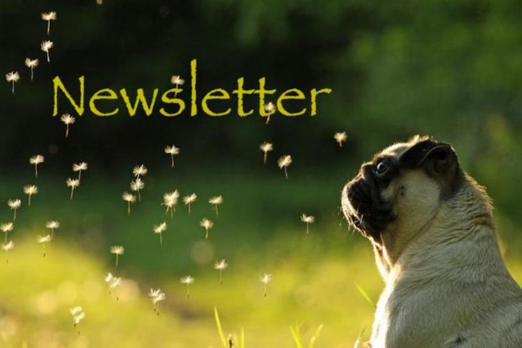 WVMS Newsletter March 20, 2023