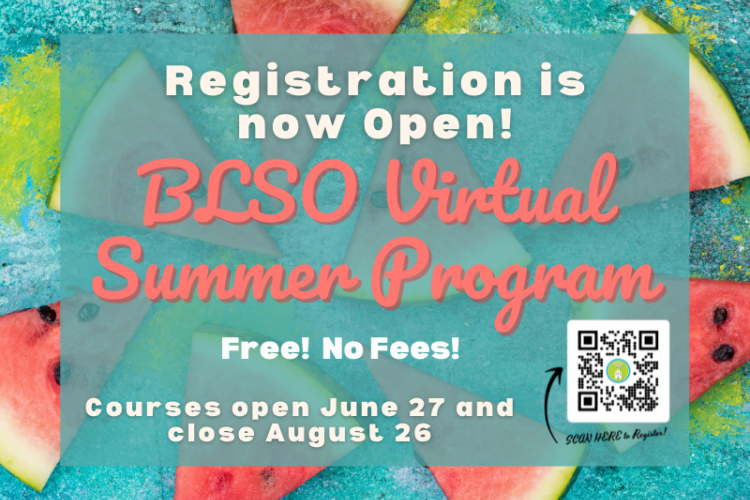 BLSO Summer Program 2022