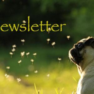WVMS Newsletter March 20, 2023