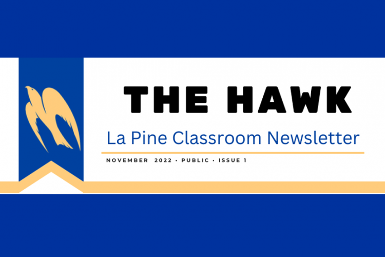 Hawk_Nov_Newspaper.png