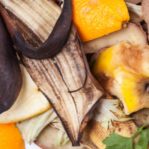 school composting photo
