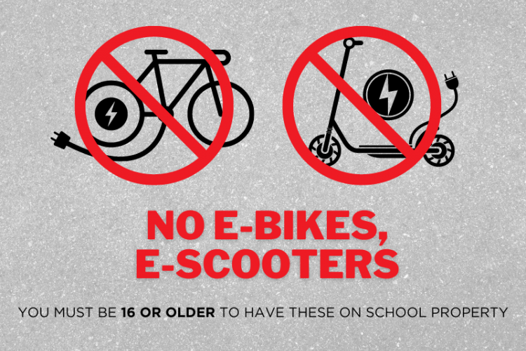 ebikes_article.png