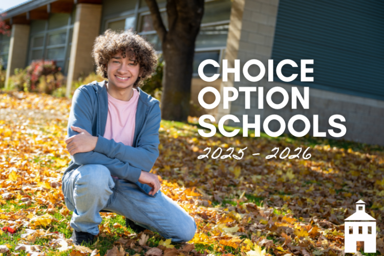 Choice_Option_web_graphice.png