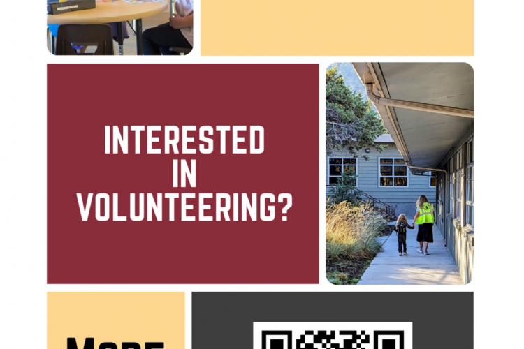 BLS_Volunteering_1.png
