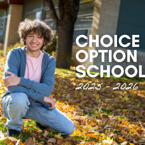 Choice_Option_web_graphice.png