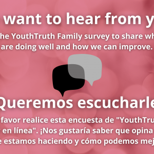 MVHS_Website_YouthTruth_-_Families.png